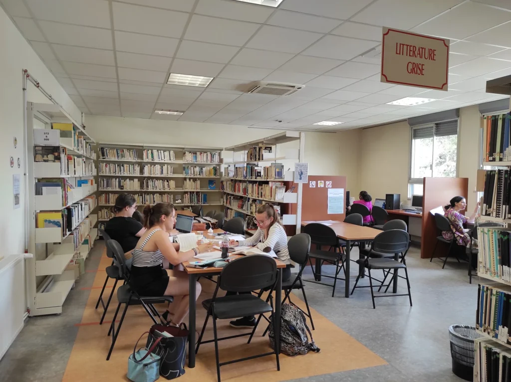 Etudiants appliqué, reflétant la motivation et la progression dans leurs étude.